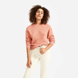 Everlane Teddy Sweater, Coral